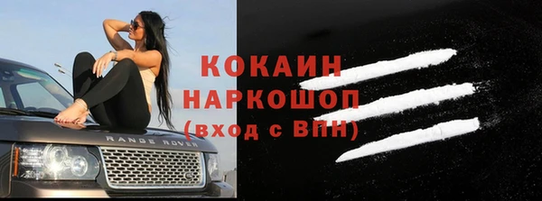 стаф Алексин