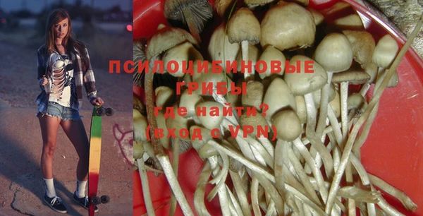 стаф Алексин