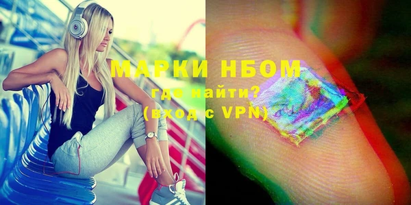 стаф Алзамай