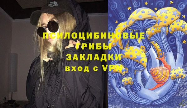 стаф Алзамай