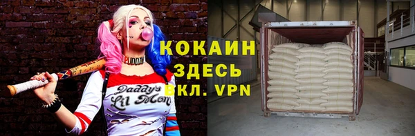 стаф Алексин