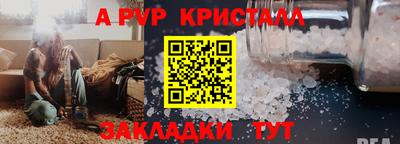 хмурый Кингисепп
