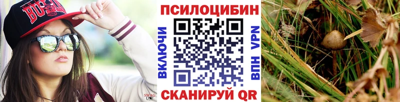 Псилоцибиновые грибы Cubensis  Волхов 