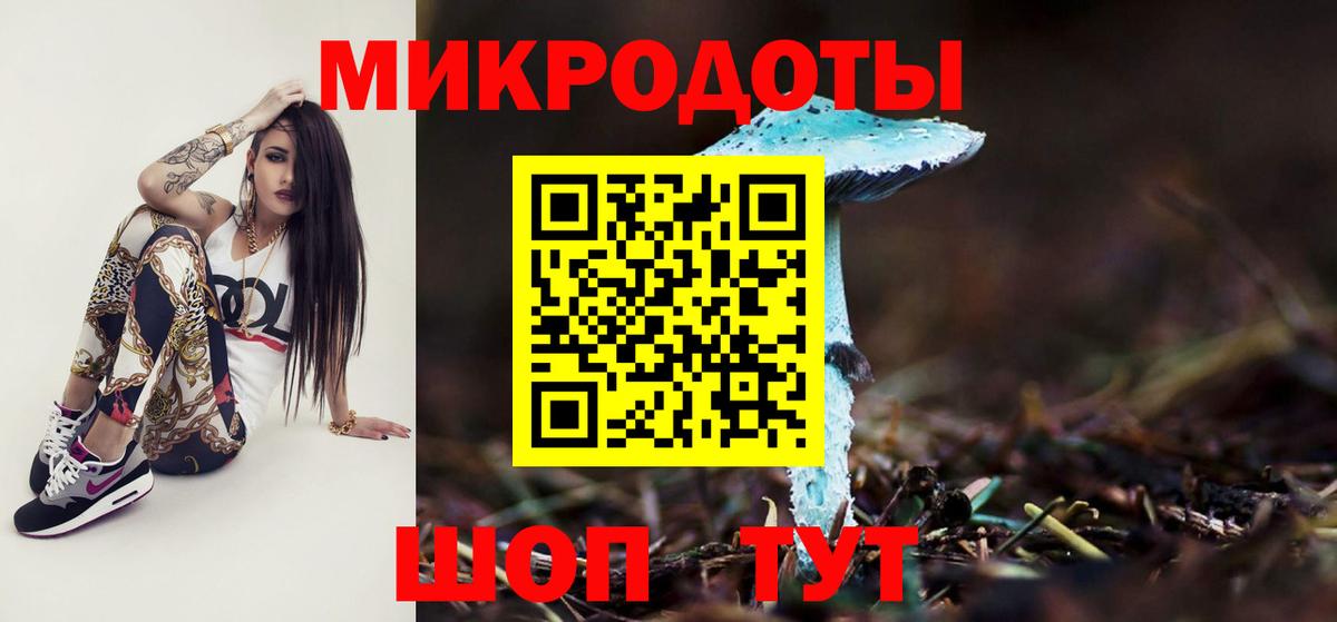 Волхов  Галлюциногенные грибы ЛСД  Вход с VPN  Псилоцибиновые грибы MAGIC MUSHROOMS 